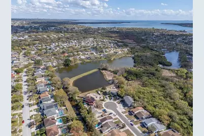 1732 Split Fork Drive, Oldsmar, FL 34677 - Photo 48