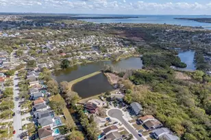 1732 Split Fork Dr, Oldsmar, FL 34677 - Photo 48