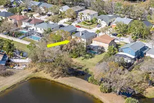 1732 Split Fork Dr, Oldsmar, FL 34677 - Photo 50