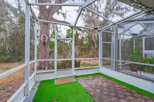 15856 Fishhawk View Dr, Lithia, FL 33547 - Photo 22