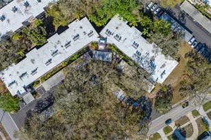 820 Virginia St, Dunedin, FL 34698 - Photo 4