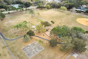 3312 Nakora Dr, Tampa, FL 33618 - Photo 72