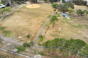 3312 Nakora Dr, Tampa, FL 33618 - Photo 70