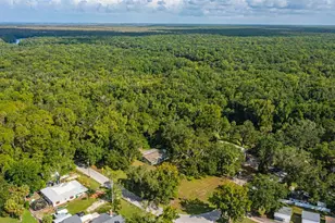 8585 W Miss Maggie Dr, Homosassa, FL 34448 - Photo 44