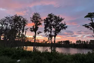 17936 Adrift Rd, Winter Garden, FL 34787 - Photo 34