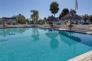 215 S McMullen Booth Rd, Clearwater, FL 33759 - Photo 46