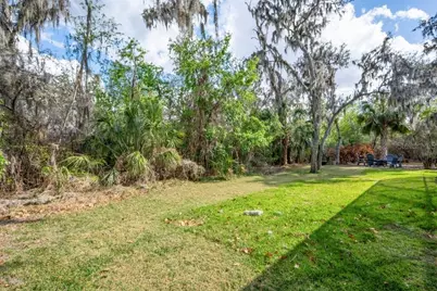 15912 Ternglade Drive, Lithia, FL 33547 - Photo 40