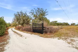 39730 Carlton Rd, Duette, FL 34219 - Photo 70
