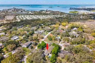 11 Birdie Ln, Palm Harbor, FL 34683 - Photo 68