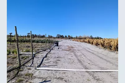 46683 Peeples Lane, Wauchula, FL 33873 - Photo 22