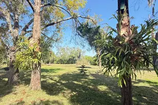 4858 Troydale Rd, Tampa, FL 33615 - Photo 8