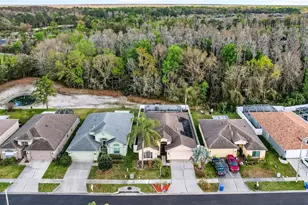 29454 Crossland Dr, Wesley Chapel, FL 33543 - Photo 54