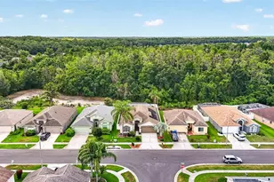 29454 Crossland Dr, Wesley Chapel, FL 33543 - Photo 56