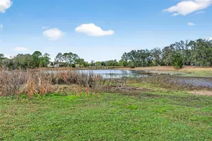 16330 Hanna Rd, Lutz, FL 33549 - Photo 54