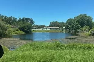 2049 Sandpiper Dr, Palm Harbor, FL 34683 - Photo 30