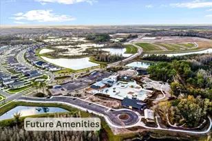 21223 Wistful Yearn Dr, Land O Lakes, FL 34637 - Photo 40