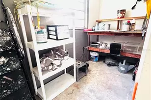 34723 Missionary Rd, Dade City, FL 33525 - Photo 32