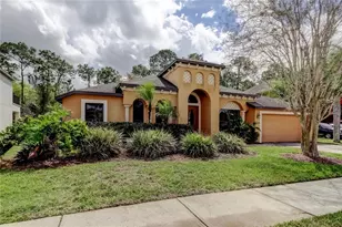 10820 Rain Lilly Pass, Land O Lakes, FL 34638 - Photo 2