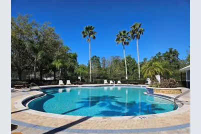 10820 Rain Lilly Pass, Land O Lakes, FL 34638 - Photo 48