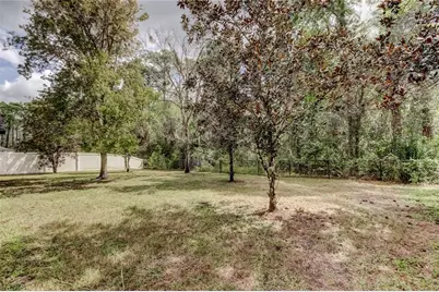 10820 Rain Lilly Pass, Land O Lakes, FL 34638 - Photo 40