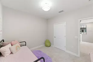 29211 Perilli Pl, Wesley Chapel, FL 33543 - Photo 32
