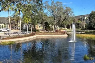 10102 Courtney Oaks Cir, Tampa, FL 33619 - Photo 18