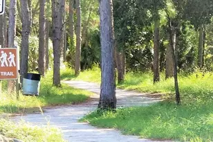 617 Windrush Bay Dr, Tarpon Springs, FL 34689 - Photo 50