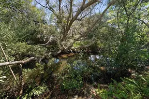 707 Lansden Ct, Tarpon Springs, FL 34689 - Photo 42