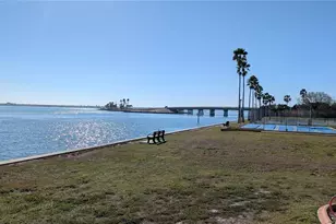 7 Dunoon Pl, Dunedin, FL 34698 - Photo 20