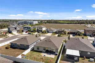 10387 Scarlet Skimmer Dr, Riverview, FL 33578 - Photo 66