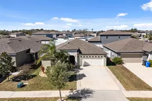 10387 Scarlet Skimmer Dr, Riverview, FL 33578 - Photo 60