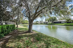 190 James Ct, Oldsmar, FL 34677 - Photo 36