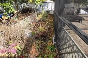 4912 E Serena Dr, Tampa, FL 33617 - Photo 20