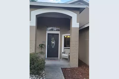 22803 Richardson Lane, Land O Lakes, FL 34639 - Photo 48