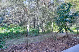 20119 Weeping Laurel Pl, Tampa, FL 33647 - Photo 48