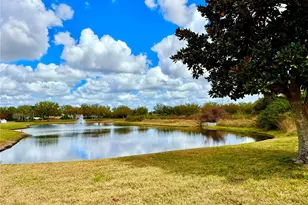 11338 Laurel Brook Ct, Riverview, FL 33569 - Photo 42