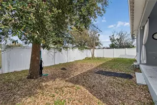 2407 W Carmen St, Tampa, FL 33609 - Photo 64
