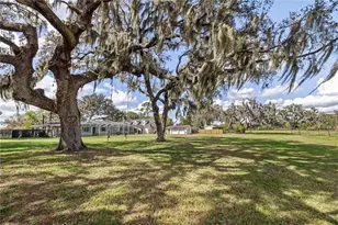 4019 Moores Lake Rd, Dover, FL 33527 - Photo 58