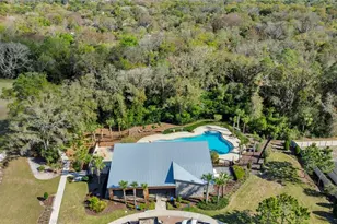 4215 Hanover Dr, New Port Richey, FL 34653 - Photo 40