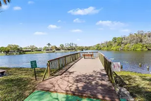 129 Camphor Cir, Oldsmar, FL 34677 - Photo 34
