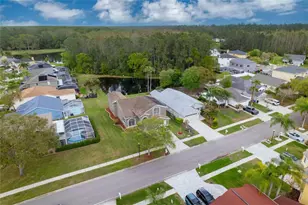 13106 Royal George Ave, Odessa, FL 33556 - Photo 32
