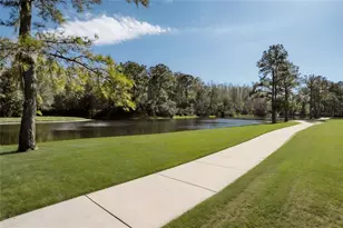 13106 Royal George Ave, Odessa, FL 33556 - Photo 48