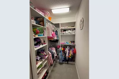 13223 Satin Lily Drive, Riverview, FL 33579 - Photo 42