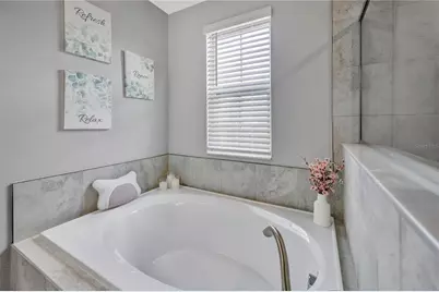 13223 Satin Lily Drive, Riverview, FL 33579 - Photo 46
