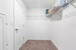 17425 Nectar Flume Dr, Land O Lakes, FL 34638 - Photo 26