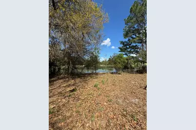 2907 S Skyline Drive, Inverness, FL 34450 - Photo 10