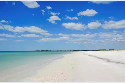 433 S Paula Drive #42, Dunedin, FL 34698 - Photo 28