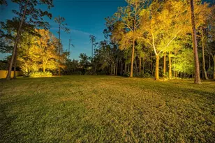 5044 Kilkenney Ct, Oldsmar, FL 34677 - Photo 4