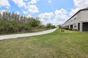 32010 Blue Passing Loop, Wesley Chapel, FL 33545 - Photo 24