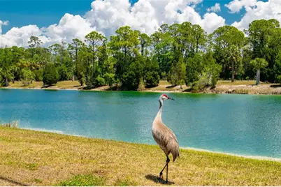 7390 Shoal Line Boulevard, Weeki Wachee, FL 34607 - Photo 68